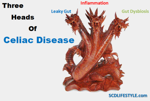 The Three Heads of Celiac Disease