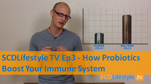 How Probiotics Boost Your Immune System