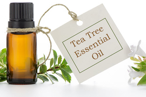 tea-tree-7-uses-bottle-with-label