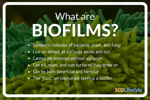 what-are-biofilms