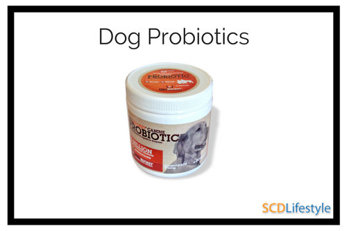 dog-probiotics-13