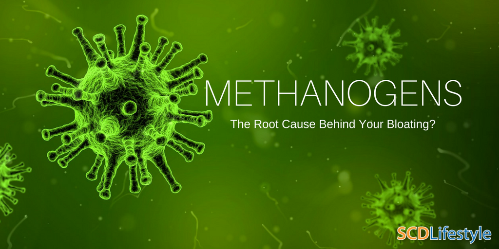 methanogens