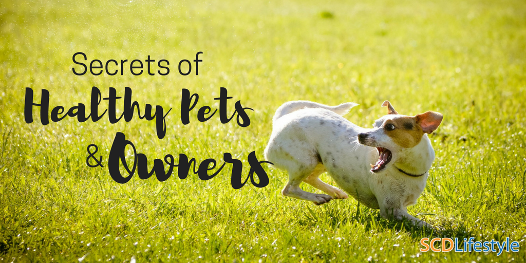 Secrets of Healthy Pets & Owners