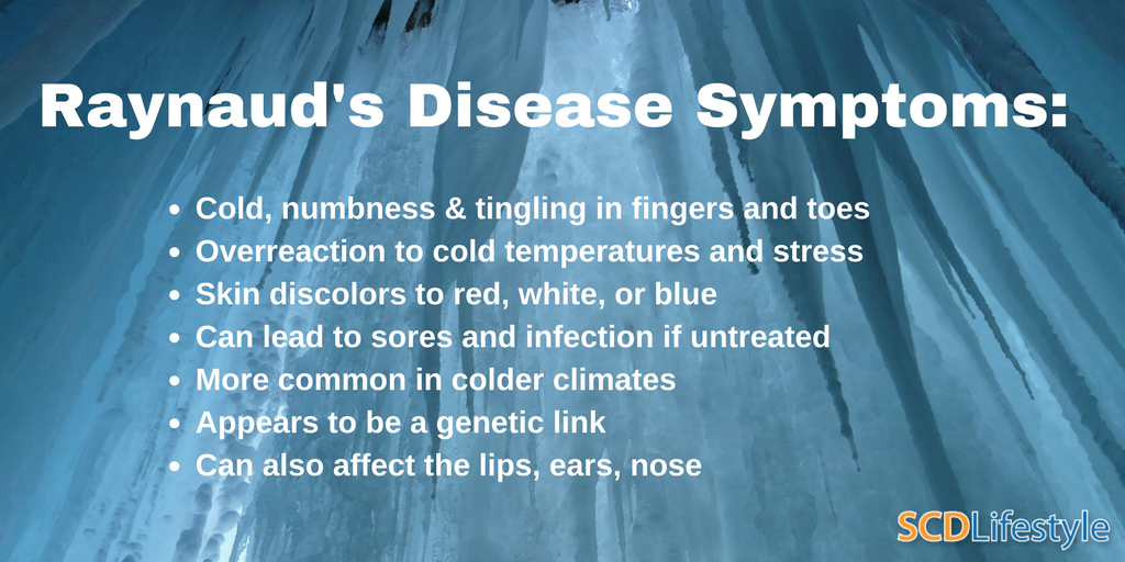 Symptoms of Raynaud's disease