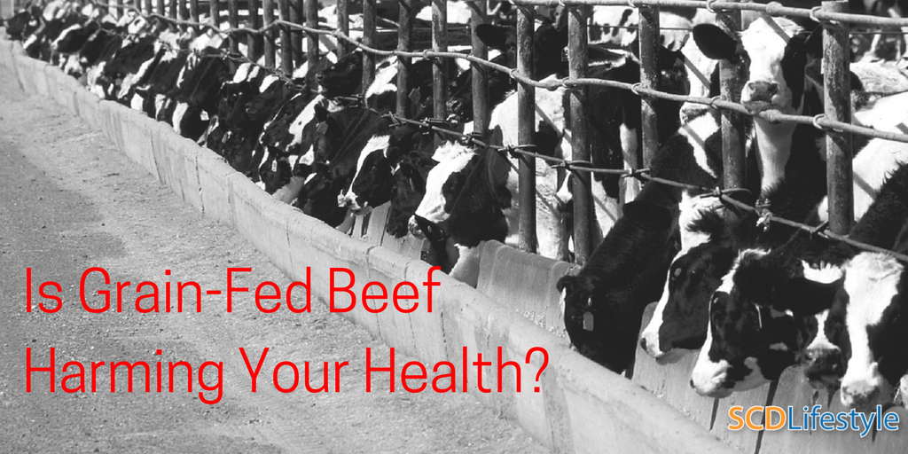 Is grain-fed beef harming your health?