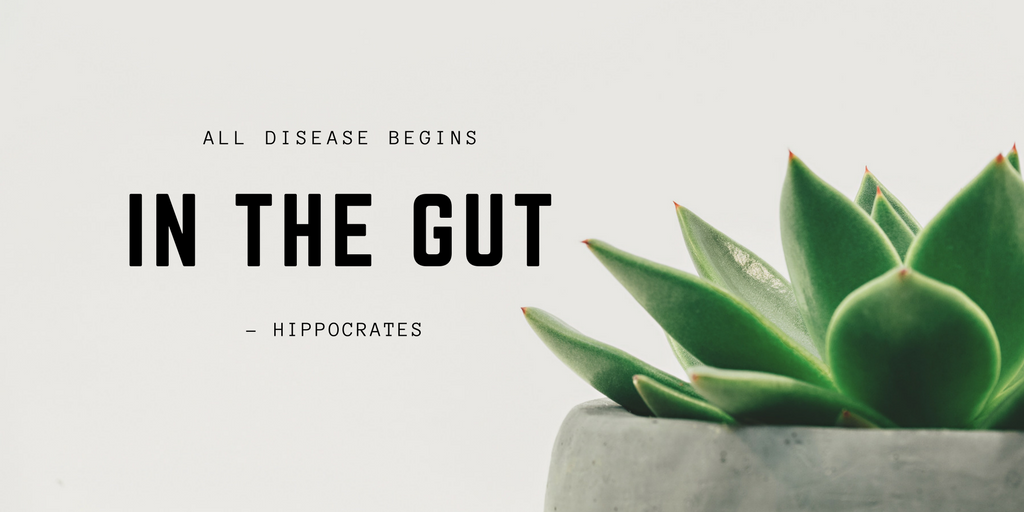 All disease begins in the gut. ~Hippocrates