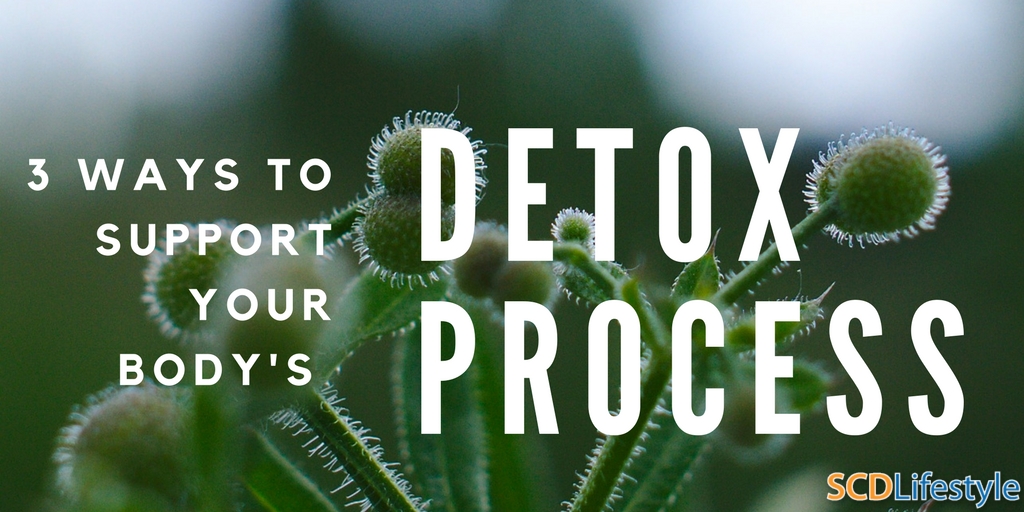 3 Ways To Support Your Body's Detox Process