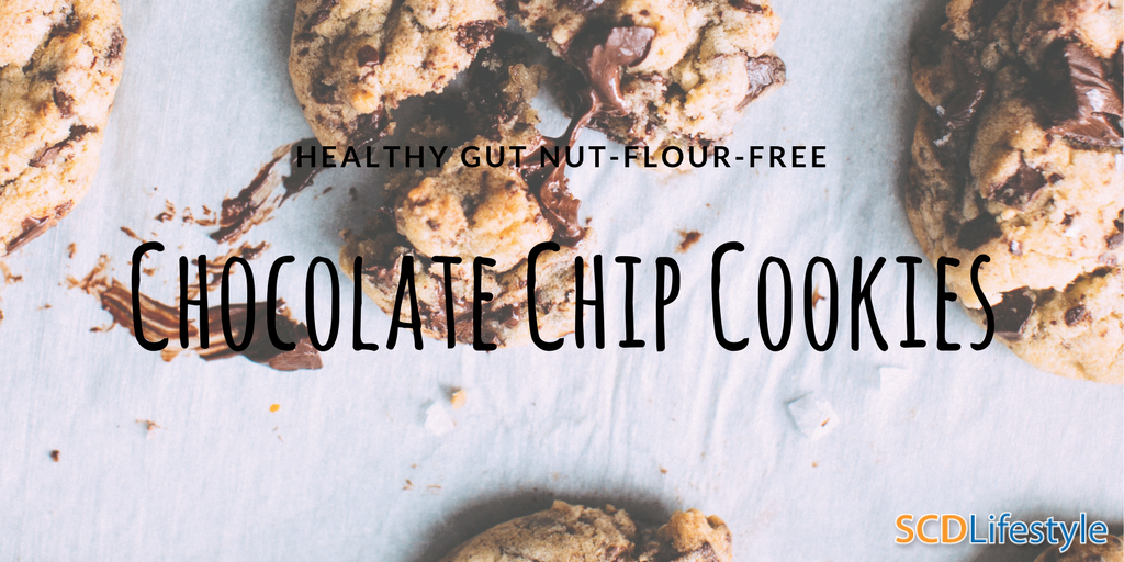 nut and flour free chocolate chip cookies