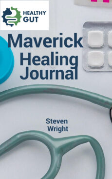 Maverick healing journal vertical rectangle book cover