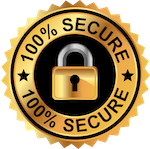 100% secure logo